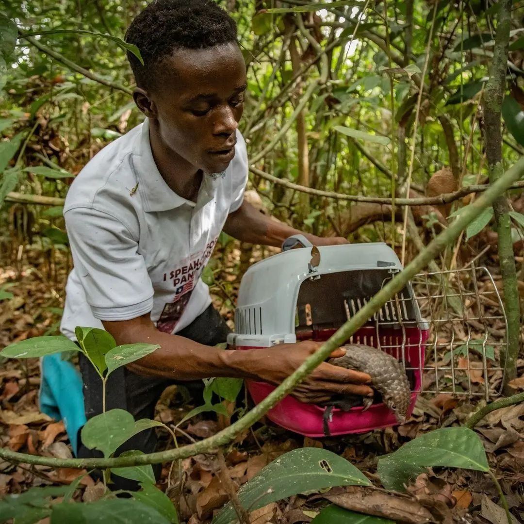 Libassa, Liberia